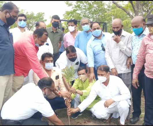 कोरोना महामारी ने हमें पर्यावरण व वनो महत्व बता दिया है। राजानी ब्लॉक कांग्रेस ने किया पर्यावरण दिवस पर पौधारोपण