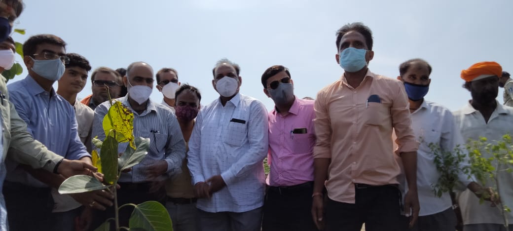 शिक्षा विभाग ने किया शंकरगढ़ पहाड़ी पर पौधारोपण