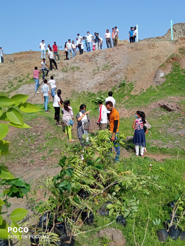 मध्य प्रदेश के एडवेंचर बन रहे शंकरगढ़ पहाड़ी पर पौधारोपण का बनने जा रहा रिकार्ड देखिए कलयुग टाइम्स की खास वीडियो खबर