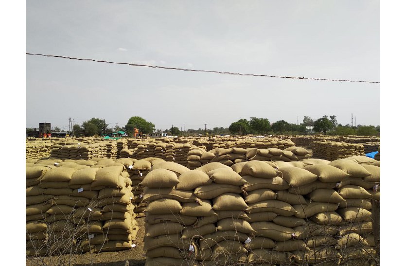 किसानों से अधिक काटी हम्माली दर – भुगतान पत्रक के आधार पर मंडी सचिव को कार्रवाई के लिए दिया आवेदन, किसानों के साथ समस्या आम बात