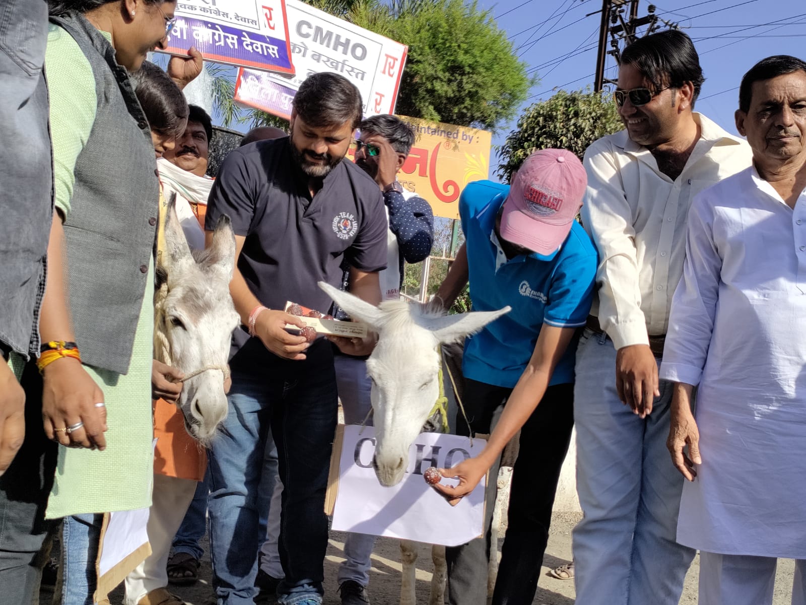 युवा कांग्रेस द्वारा गधे को गुलाब जामुन खिला कर किया अनूठा प्रदर्शन