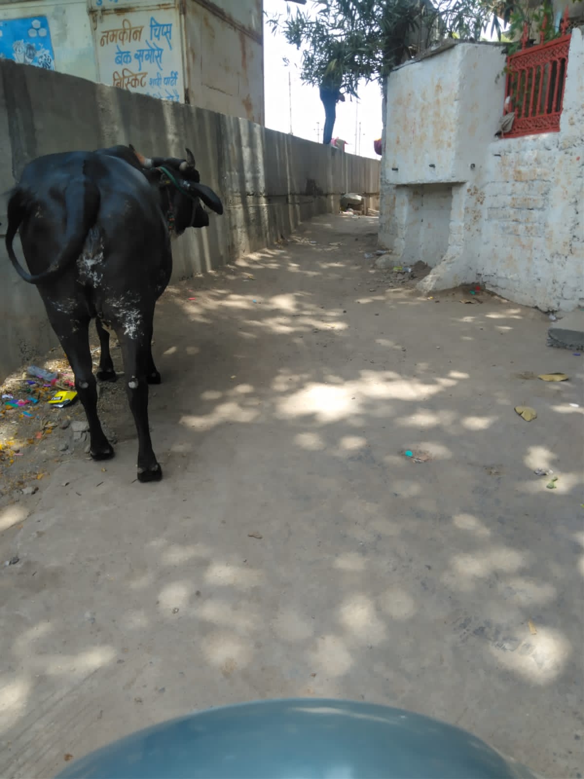 रोड़ चौड़ीकरण होने से ए बी रोड से जोड़ने वाले शहर के कई मार्ग बंद, कांग्रेस।