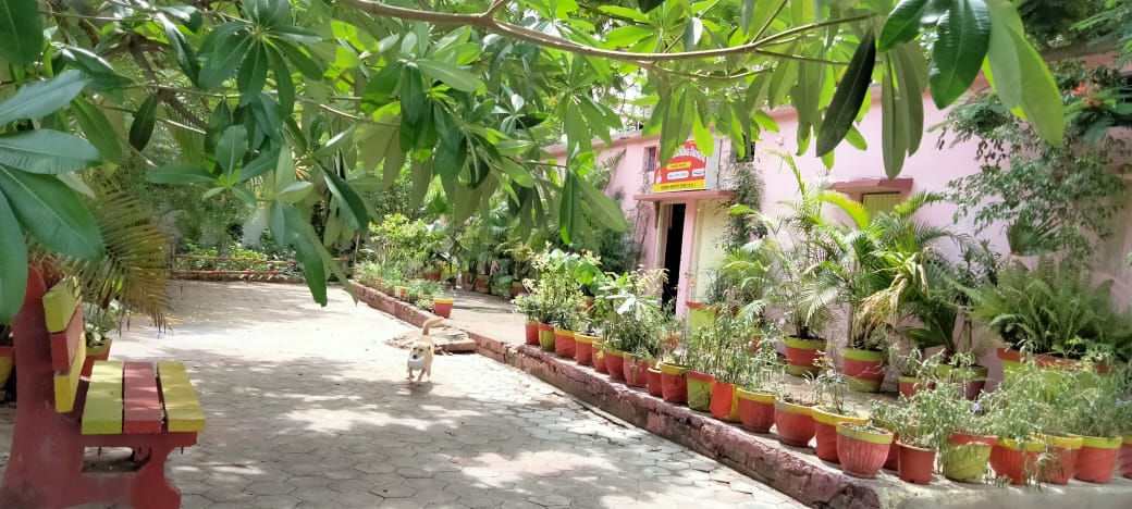 “पर्यावरण संरक्षण के प्रति समर्पित शिक्षक, पर्यावरण संरक्षण के संकल्प को किया साकार एक संकल्प ने” देखें कुछ खास