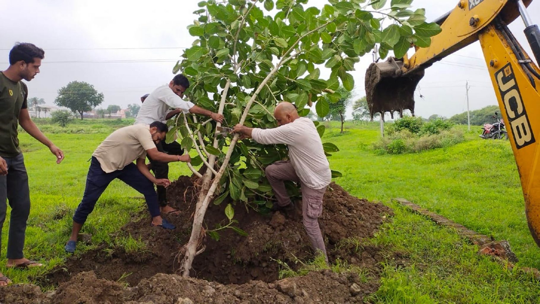 (पर्यावरण प्रेरणा दायक पहल) 100 साल की दादी जी की पुण्य स्मृति में लगाया 1000 साल आयु वाला वृक्ष
