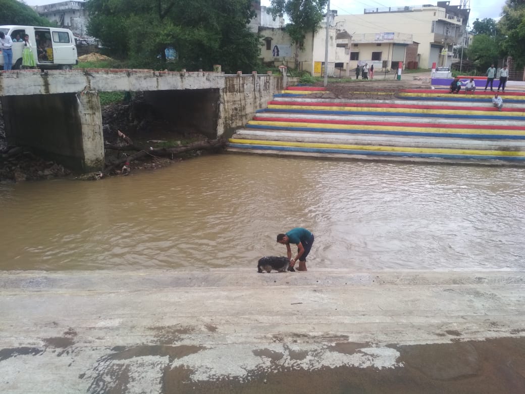 “ग्राम पंचायत नयापुरा में कालीसिंध नदी किनारे बना सुंदर घाट अन्य पंचायतों के लिए मिसाल बना” देखें