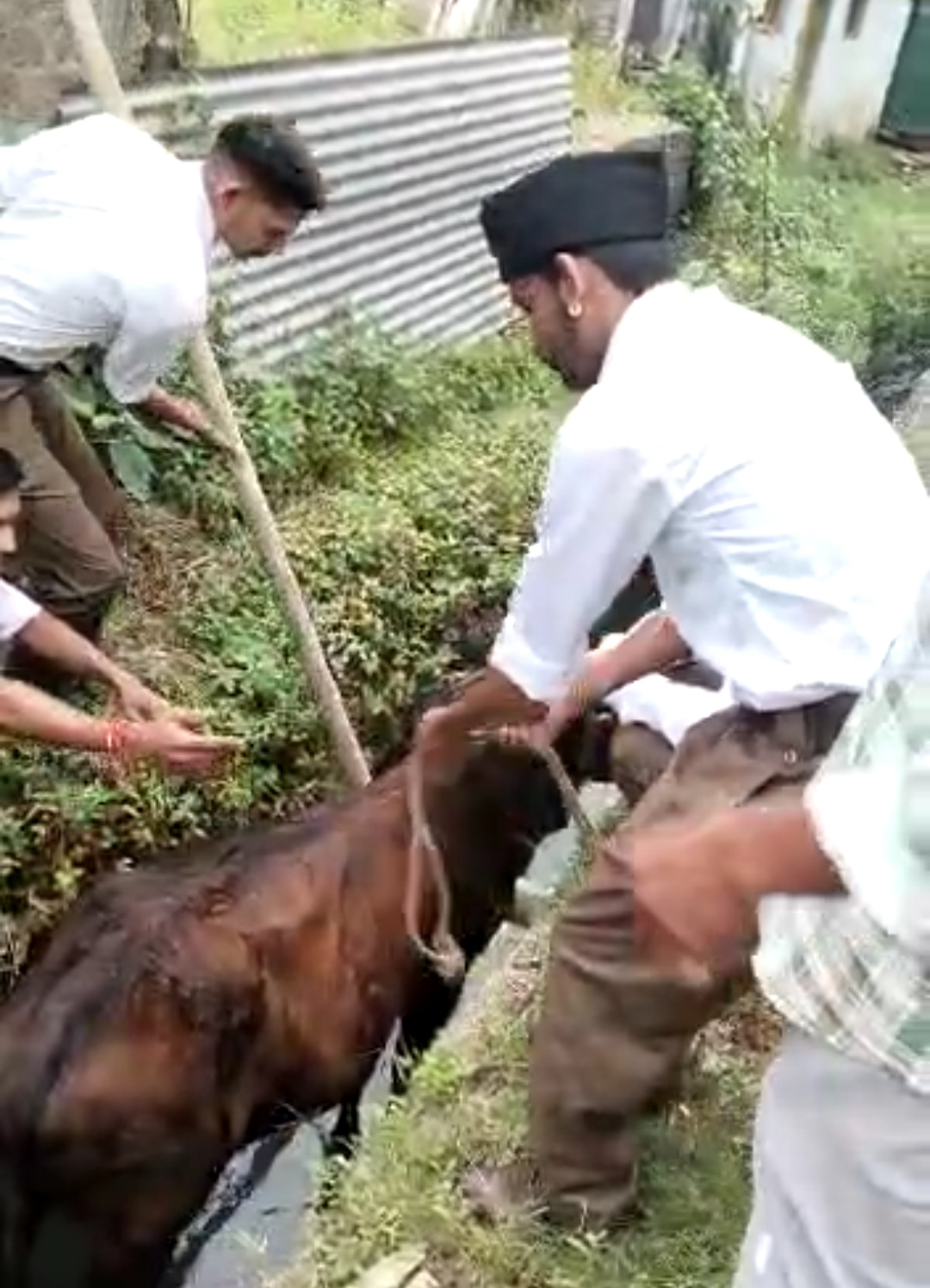 आपका एक छोटा सा प्रयास किसी मुक पशु को नवजीवन दे सकता है इनकी सेवा बेमिसाल है देखें”
