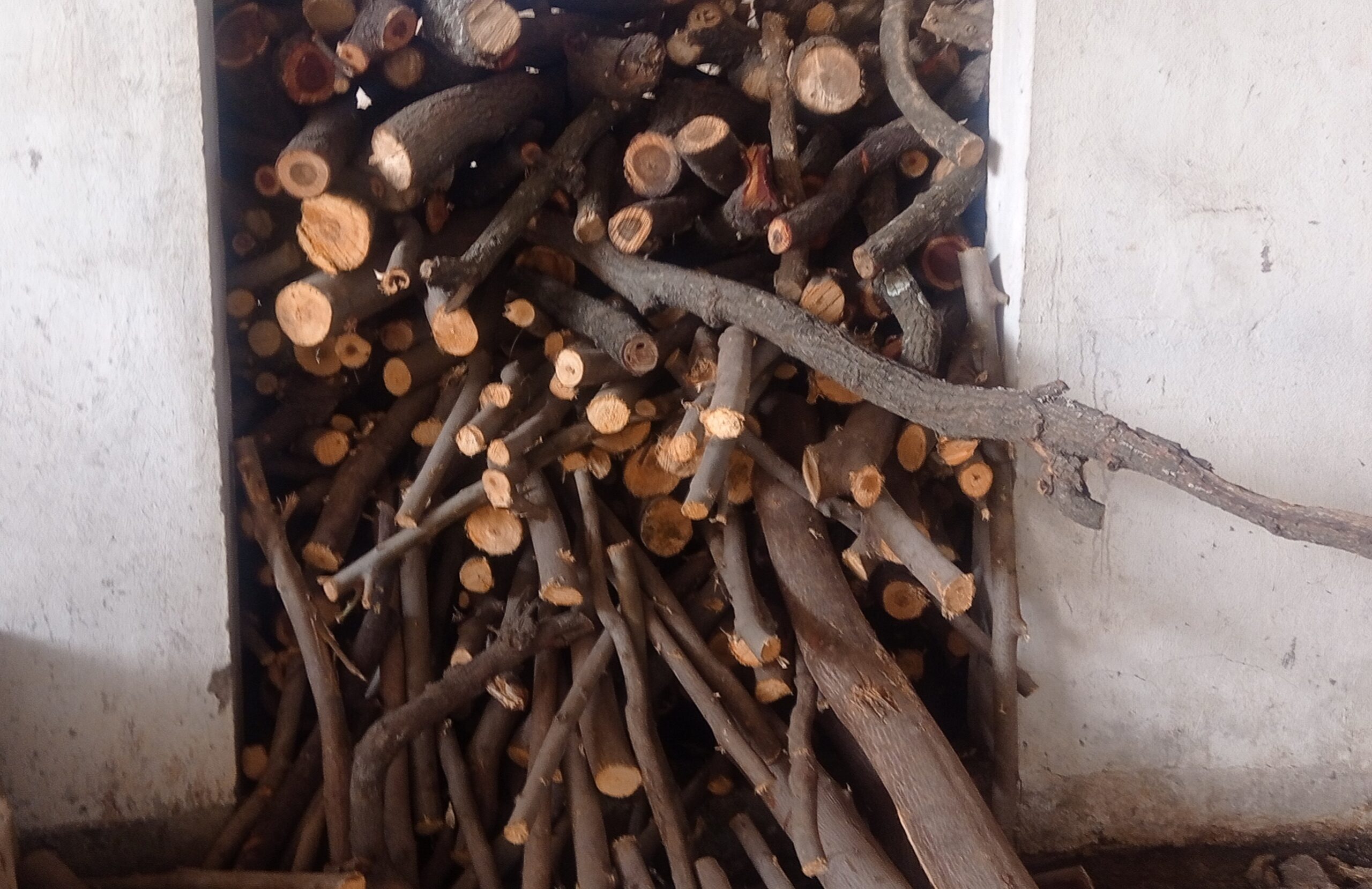 “मुक्तिधाम में लकड़ी की समस्या के कारण दाह संस्कार में करना पड़ रही मशक्कत” देखें