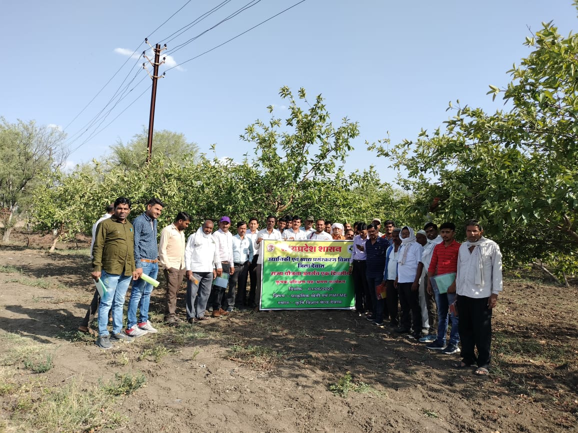 कृषि विज्ञान केन्द्र देवास में एक दिवसीय कृषक प्रशिक्षण का हुआ आयोजन ———— संरक्षित खेती, जैविक खेती, उद्यानिकी की नवीन तकनीक अपनाकर अधिक लाभ कमाने पर दी विस्तृत जानकारी