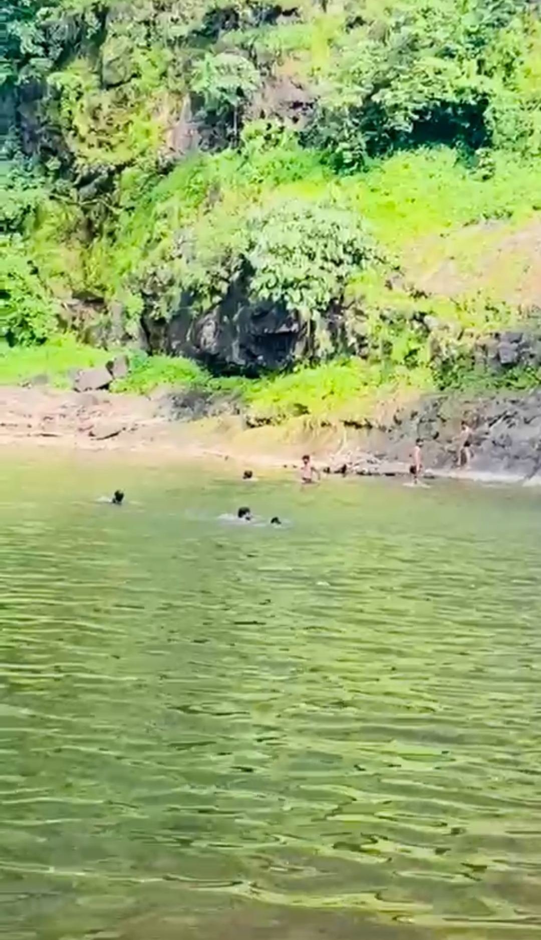 लोग वीडियो बनाते रहे और देखते देखते तीन युवक पानी में डूब गए, देवास के उदयनगर के भैरव कुंड में हुआ 15 अगस्त के दिन यह हादसा