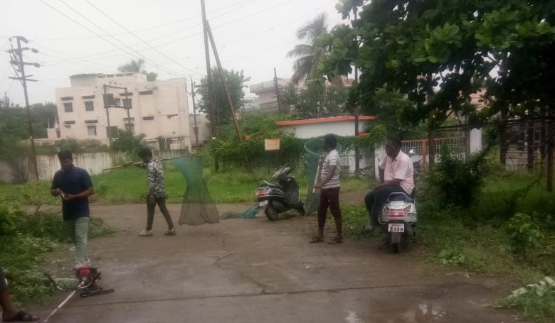 सोशल मीडिया और जनता की शिकायत पर नगर निगम जागा ,निगम द्वारा आवारा श्वानो को पकड़ी की कार्रवाई निरंतर जारी