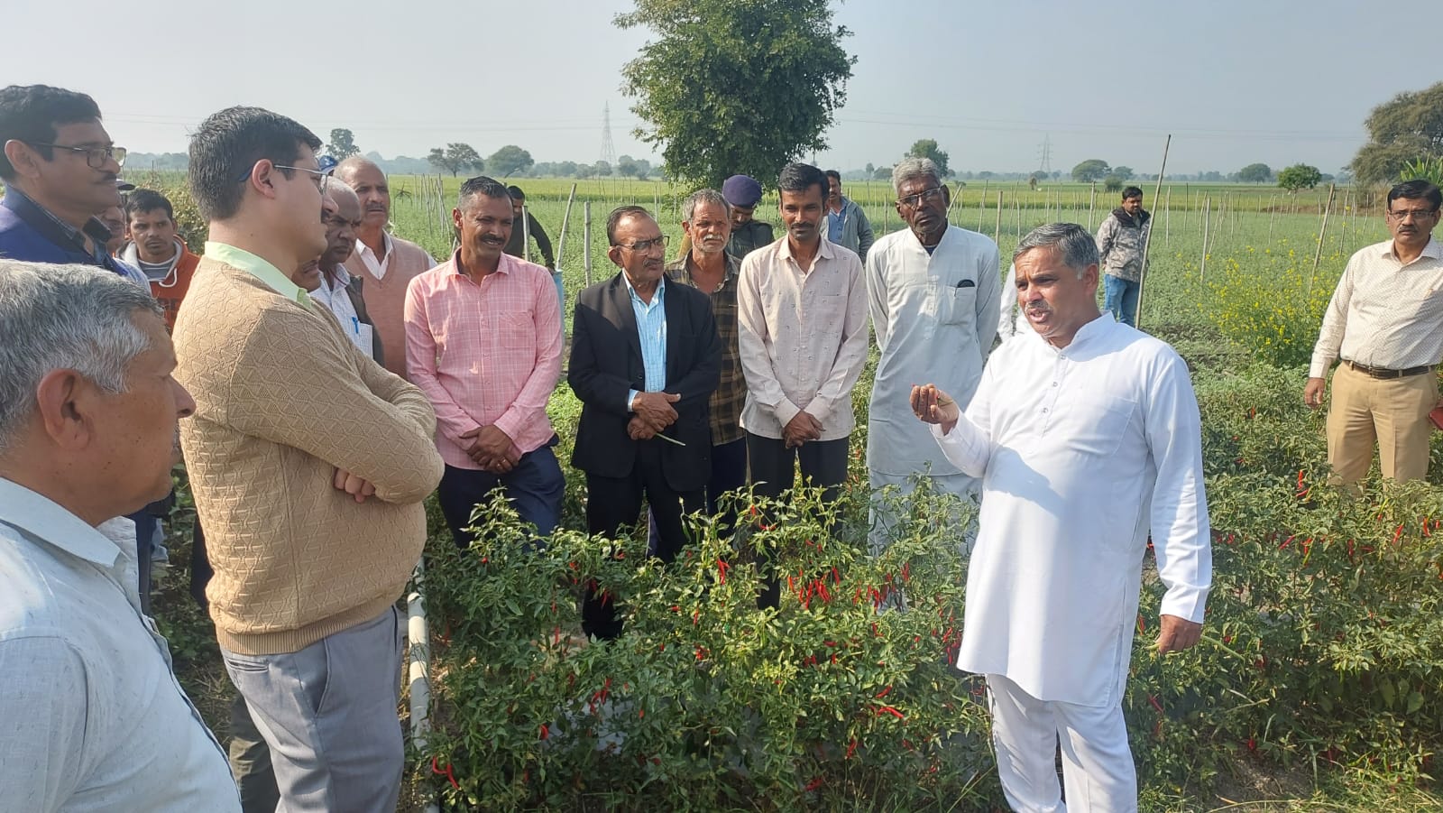 खेती में आधुनिक तकनीक का कमाल 1 वर्ष में तीन फसल और एक बीघा पर 5 लाख कमाई किसान ने और बहुत कुछ••••••