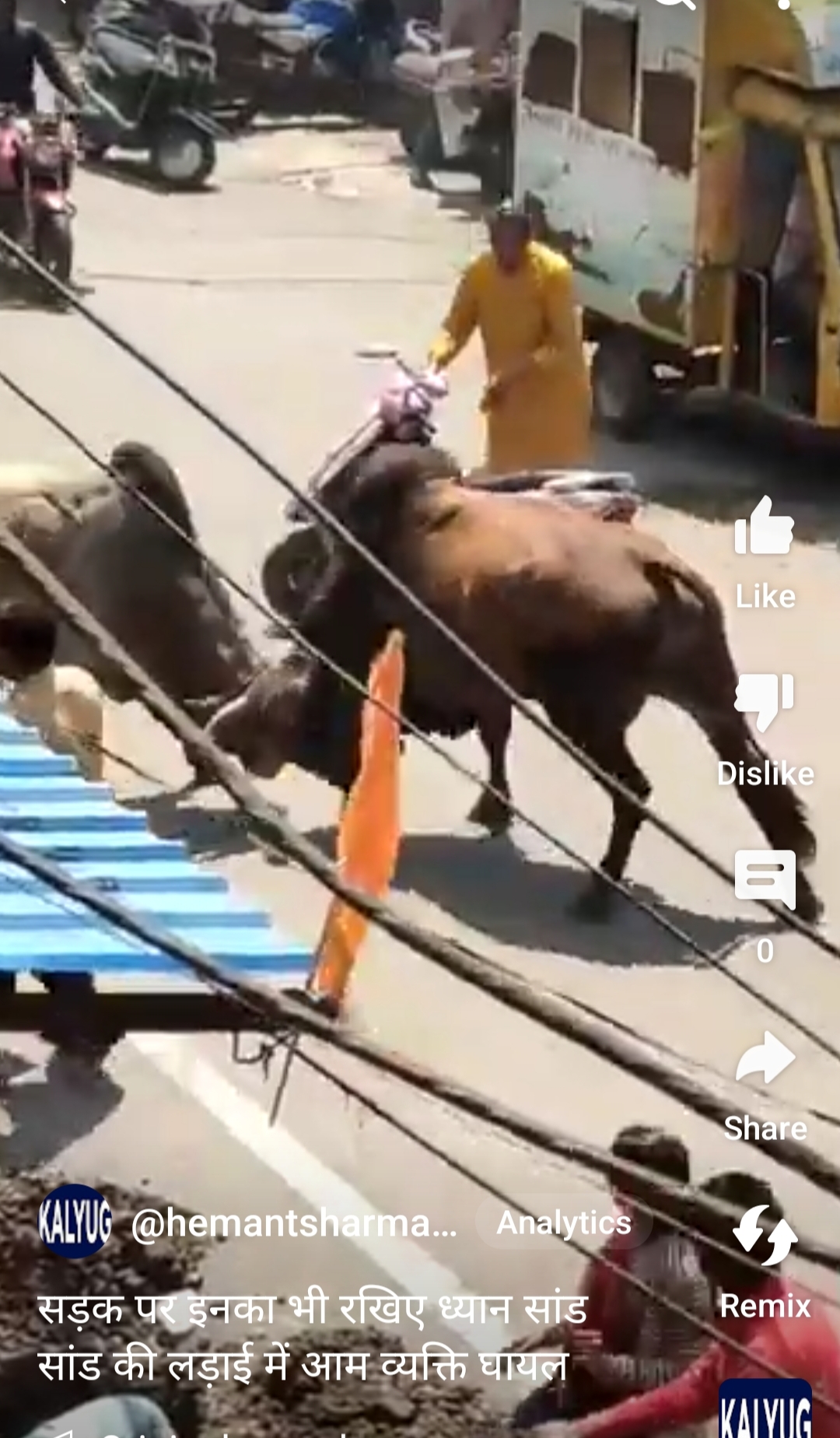 सड़क पर चलते समय इनका भी रखिए ध्यान ,सांड सांड की लड़ाई में आम व्यक्ति घायल देखिए