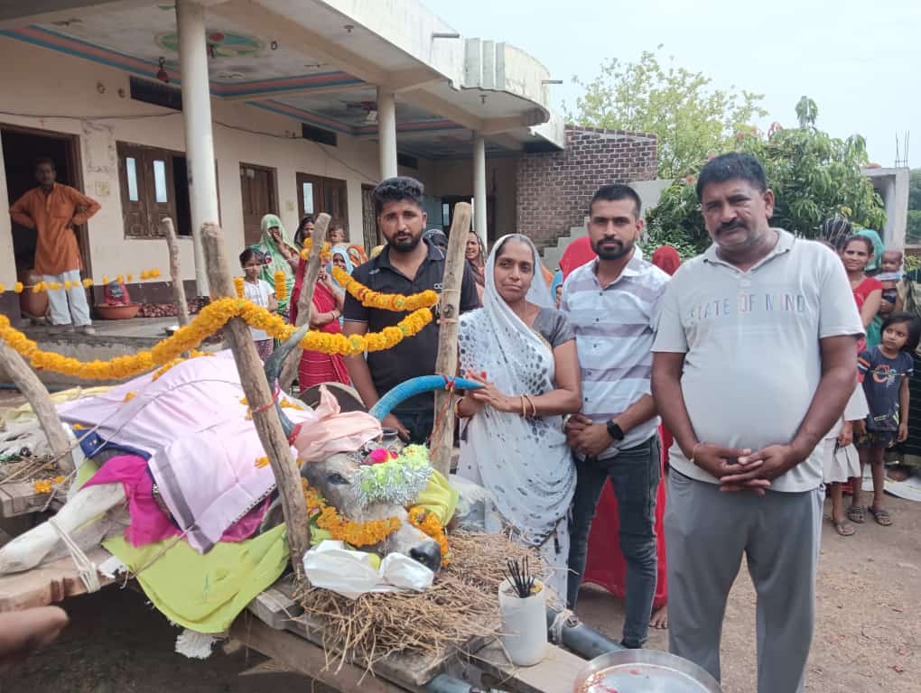 देखिए गौ माता प्रेमी ने गौ माता के अंतिम संस्कार में यह सब किया